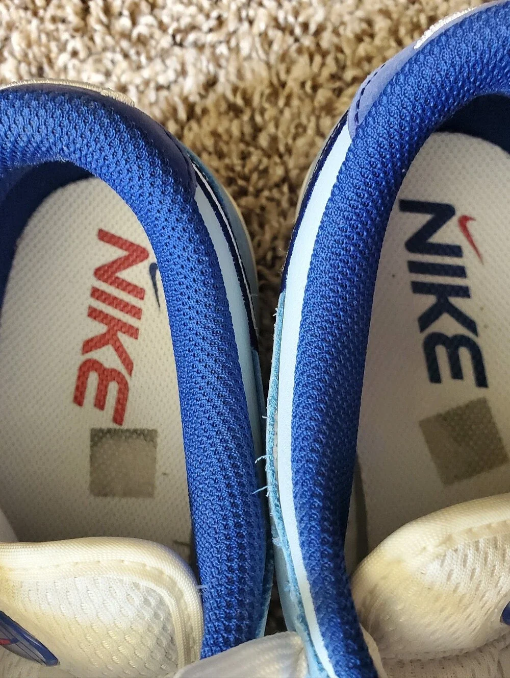 Nike Dunk Low Shoes